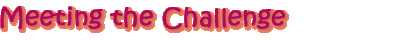 Meeting the Challenge